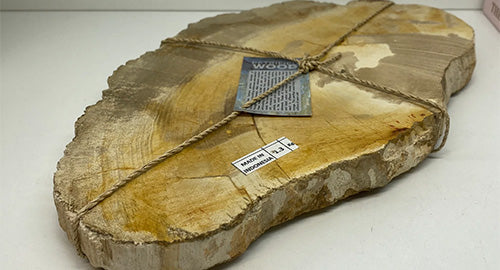 The Benefits of Petrified Wood: How This Fossilized Material Can Ground You