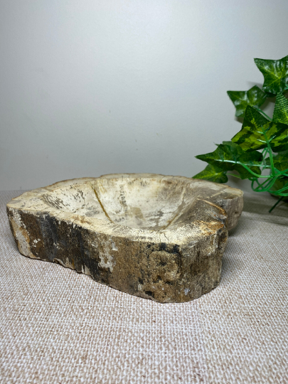 Large orders Petrified Wood Fossil Bowl Crystal