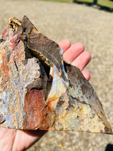 Load image into Gallery viewer, Australian Boulder Opal, natural stone found in Queensland Australia