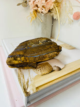 Load image into Gallery viewer, Australian Boulder Opal, natural stone found in Queensland Australia