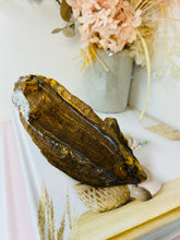 Load image into Gallery viewer, Australian Boulder Opal, natural stone found in Queensland Australia