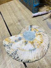 Load image into Gallery viewer, Fossil Ammonite