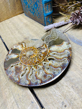 Load image into Gallery viewer, Fossil Ammonite