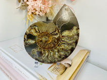 Load image into Gallery viewer, Fossil Ammonite