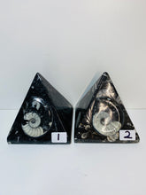 Load image into Gallery viewer, Fossil Ammonite Orthoceras Pyramids