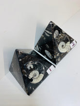 Load image into Gallery viewer, Fossil Ammonite Orthoceras Pyramids
