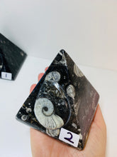 Load image into Gallery viewer, Fossil Ammonite Orthoceras Pyramids