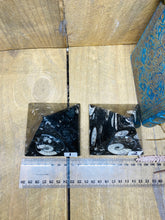 Load image into Gallery viewer, Fossil Ammonite Orthoceras Pyramids