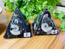 Load image into Gallery viewer, Fossil Ammonite Orthoceras Pyramids