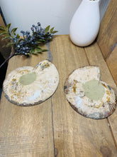 Load image into Gallery viewer, Fossil Ammonite pair