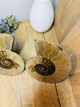 Load image into Gallery viewer, Fossil Ammonite pair