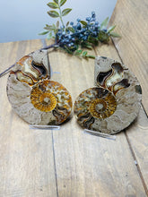 Load image into Gallery viewer, Fossil Ammonite pair