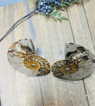 Load image into Gallery viewer, Fossil Ammonite pair