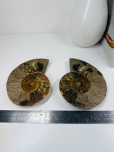 Load image into Gallery viewer, Fossil Ammonite pair