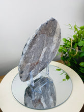 Load image into Gallery viewer, Fossil Orthoceras on display stand