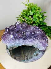 Load image into Gallery viewer, Freestanding Amethyst Crystal cluster