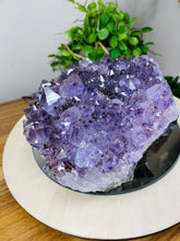 Load image into Gallery viewer, Freestanding Amethyst Crystal cluster