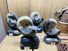 Load image into Gallery viewer, Freestanding Fossil Ammonite Orthoceras statute