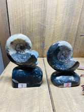 Load image into Gallery viewer, Freestanding Fossil Ammonite Orthoceras statute