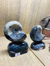 Load image into Gallery viewer, Freestanding Fossil Ammonite Orthoceras statute