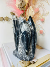 Load image into Gallery viewer, Freestanding Fossil Orthoceras statute
