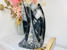 Load image into Gallery viewer, Freestanding Fossil Orthoceras statute