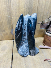 Load image into Gallery viewer, Freestanding Fossil Orthoceras statute