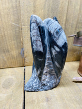 Load image into Gallery viewer, Freestanding Fossil Orthoceras statute