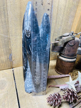Load image into Gallery viewer, Freestanding Fossil Orthoceras statute