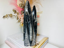 Load image into Gallery viewer, Freestanding Fossil Orthoceras statute