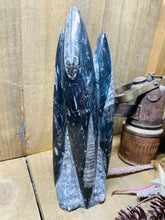 Load image into Gallery viewer, Freestanding Fossil Orthoceras statute