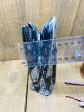 Load image into Gallery viewer, Freestanding Fossil Orthoceras statute