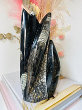 Load image into Gallery viewer, Freestanding Fossil Orthoceras statute