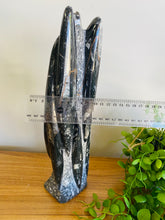 Load image into Gallery viewer, Freestanding Fossil Orthoceras statute