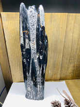 Load image into Gallery viewer, Freestanding Fossil Orthoceras statute