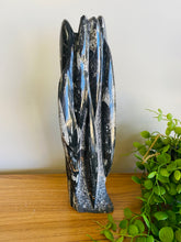 Load image into Gallery viewer, Freestanding Fossil Orthoceras statute