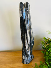 Load image into Gallery viewer, Freestanding Fossil Orthoceras statute