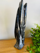 Load image into Gallery viewer, Freestanding Fossil Orthoceras statute