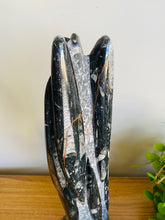 Load image into Gallery viewer, Freestanding Fossil Orthoceras statute