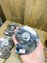 Load image into Gallery viewer, Polished Fossil Ammonite Orthoceras Bowl - home decor