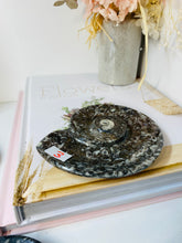 Load image into Gallery viewer, Polished Fossil Ammonite Orthoceras Bowl - home decor