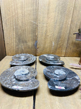 Load image into Gallery viewer, Polished Fossil Ammonite Orthoceras Bowl - home decor