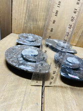 Load image into Gallery viewer, Polished Fossil Ammonite Orthoceras Bowl - home decor