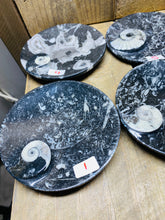 Load image into Gallery viewer, Polished Fossil Ammonite Orthoceras Bowl - home decor