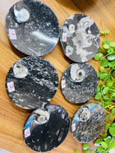Load image into Gallery viewer, Polished Fossil Ammonite Orthoceras Bowl - home decor