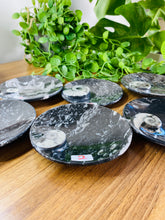 Load image into Gallery viewer, Polished Fossil Ammonite Orthoceras Bowl - home decor