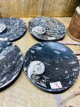 Load image into Gallery viewer, Polished Fossil Ammonite Orthoceras Bowl - home decor