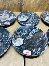 Load image into Gallery viewer, Polished Fossil Ammonite Orthoceras Bowl - home decor