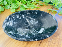 Load image into Gallery viewer, Polished Fossil Ammonite Orthoceras Bowl - home decor