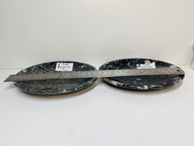 Load image into Gallery viewer, Polished Fossil Ammonite Orthoceras dish